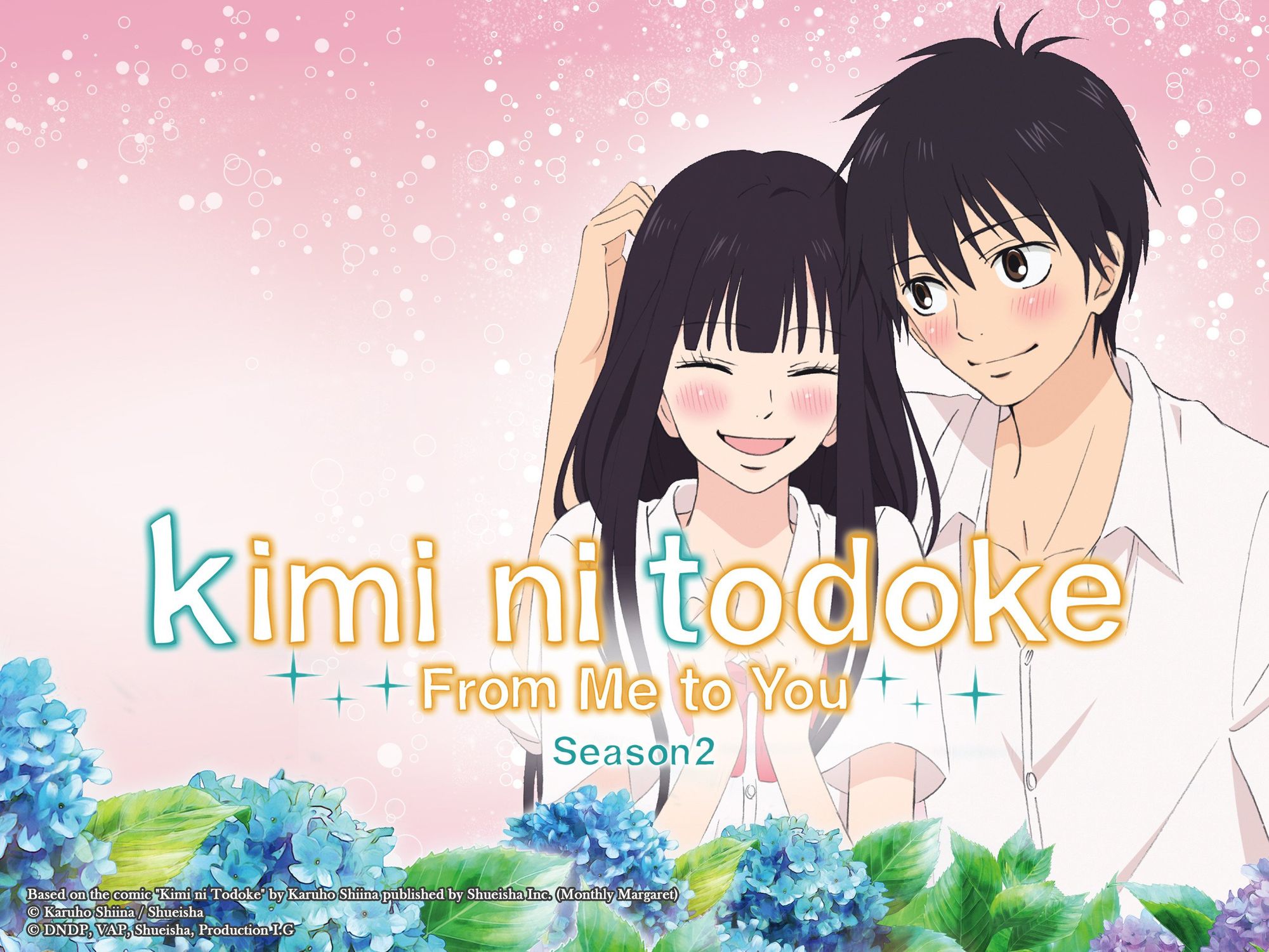 Kimi ni Todoke